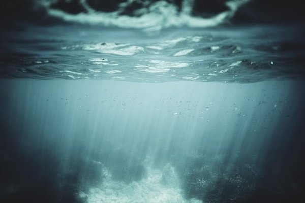 Quels sont les moyens d'économiser de l'eau à la maison ?